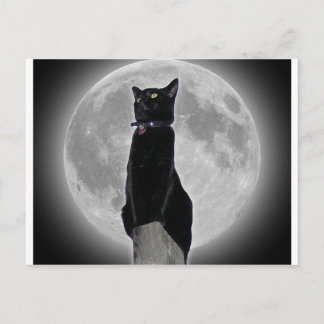 Cat in the Moon Postcard