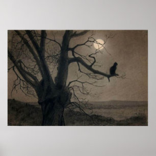 Cat in the Moonlight, Alexandre Steinlen Poster