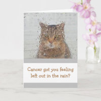 Cat In The Rain Cancer Support