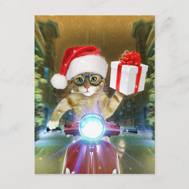 Cat in the Santa Claus hat delivers Christmas gift Postcard (Front)
