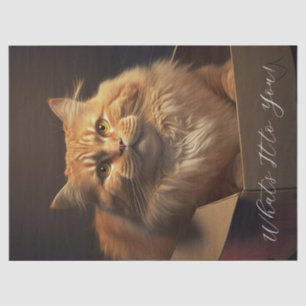 Cat In The Shoe Box - Sarcastic Cat Tissue Paper