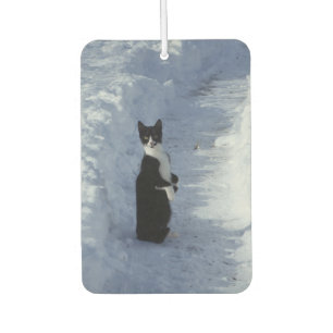cat in the snow car air freshener