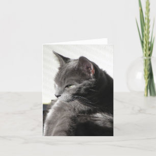 Cat in the Sun note card