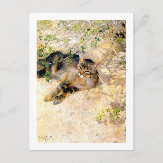 Cat in the Sunshine, Bruno Liljefors Postcard (Front)