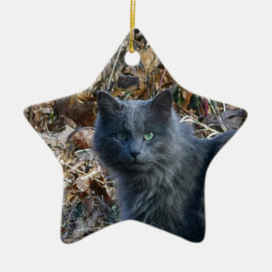Cat in the Woods Ceramic Tree Decoration