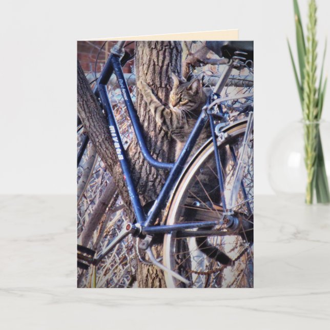 Cat in Tree with Bicycle Cute Funny Cats Card (Front)