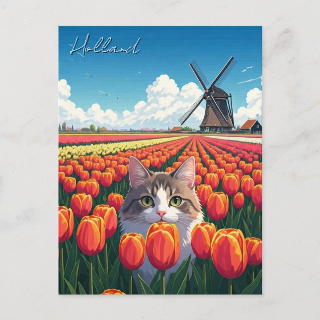 Cat in Tulip Fields Holland Netherlands Postcard (Front)