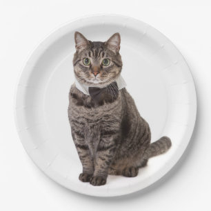 Cat in Tuxedo Paper Plate