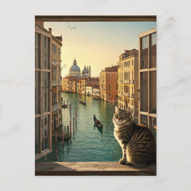 Cat in Venice Italy Travel Souvenir Painting Postcard (Front)