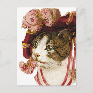 Cat in Victorian Hat Postcard
