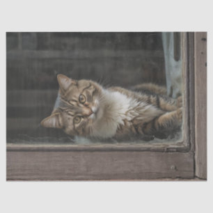 Cat in Window Decoupage Tissue Paper