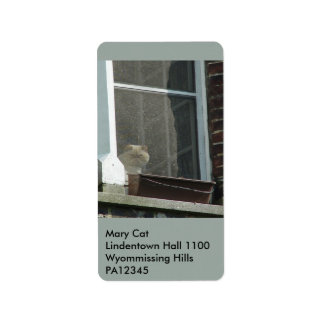 Cat in Window Label