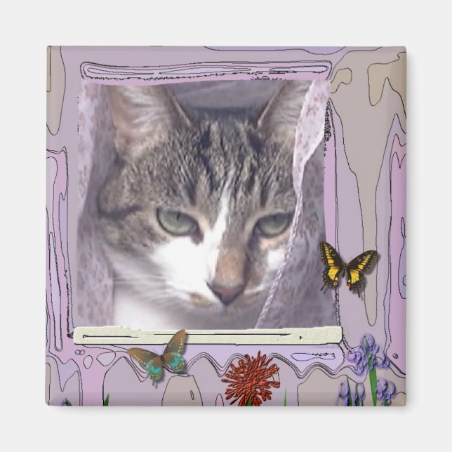Cat in Window Magnet (Front)