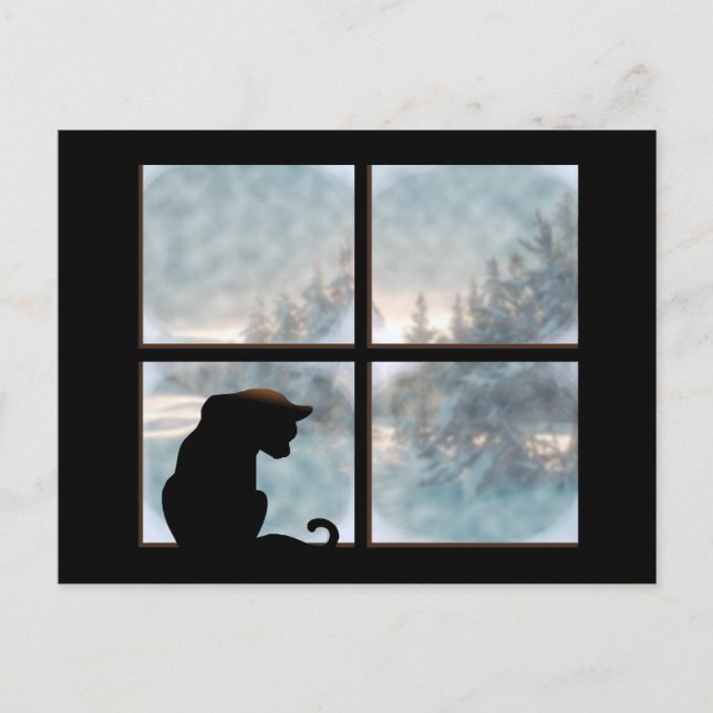 cat in window postcard (Front)