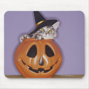 Cat in witch hat inside pumpkin mouse pad