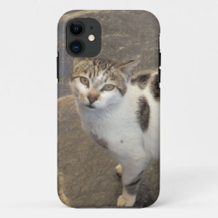 Cat iPhone 5 case-mate 11 Case