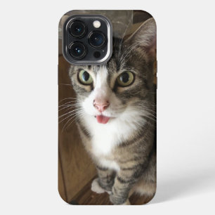 Cat iPhone 13 Pro Max Case