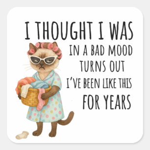 Cat is going to laundry square sticker