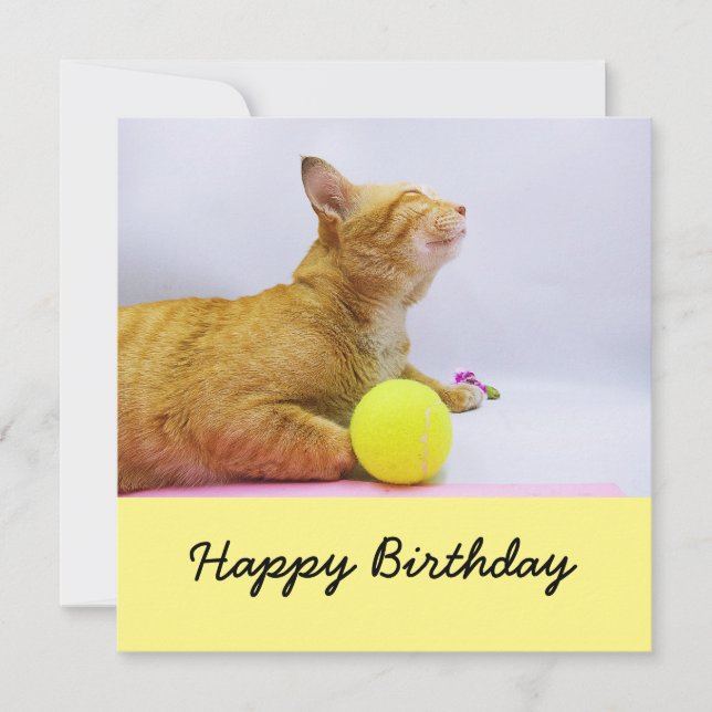 Cat is playing tennis ball birthday card (Front)