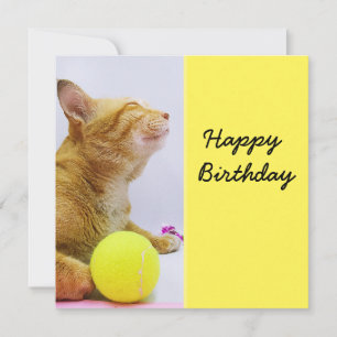 Cat is playing tennis ball birthday card