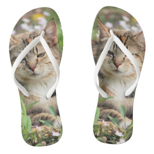Cat Jandals