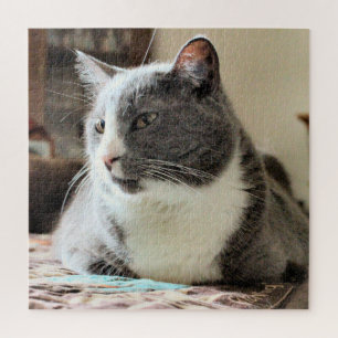 Cat Jigsaw Puzzle