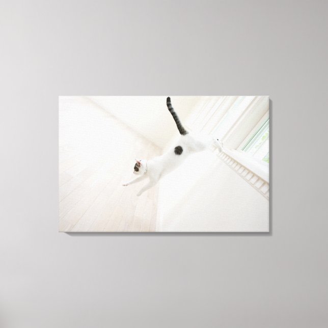 Cat jumping canvas print (Front)