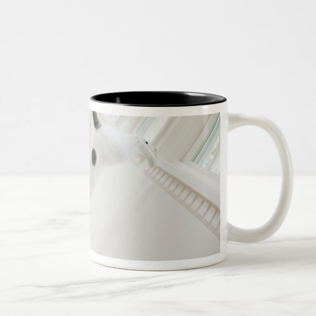 Cat jumping Two-Tone coffee mug (Right)
