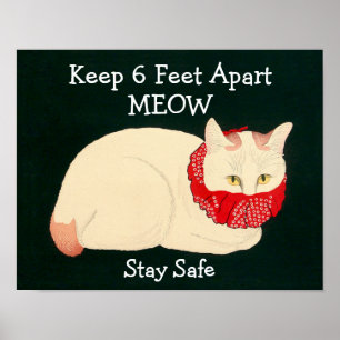Cat Keeping 6 Feet Apart Poster