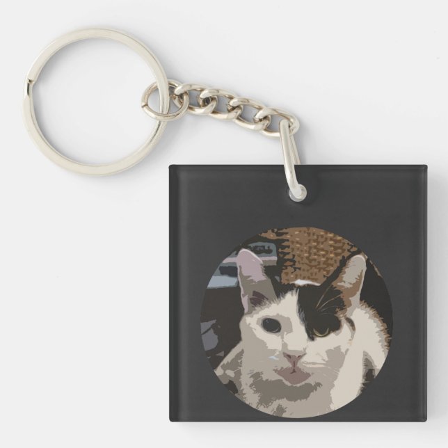 Cat Key Chain (Front)