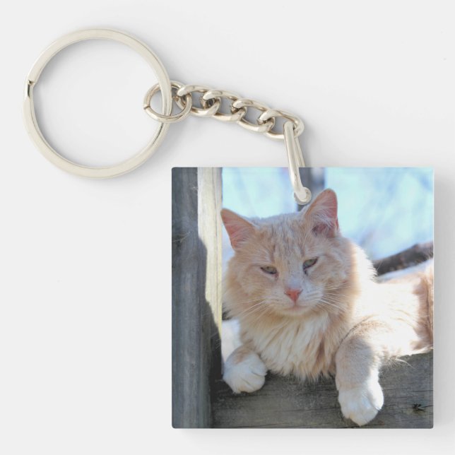 Cat Key Ring (Front)