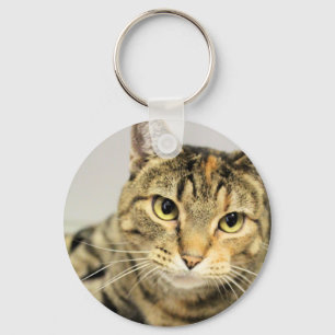 Cat  key ring