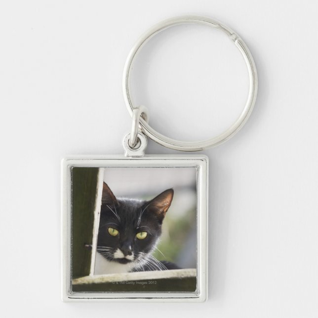 Cat Key Ring (Front)