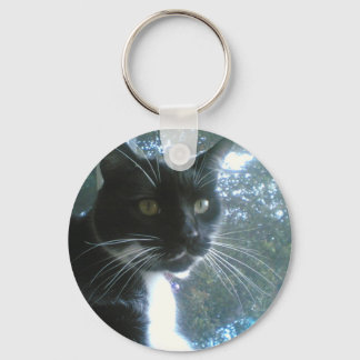 cat keychain