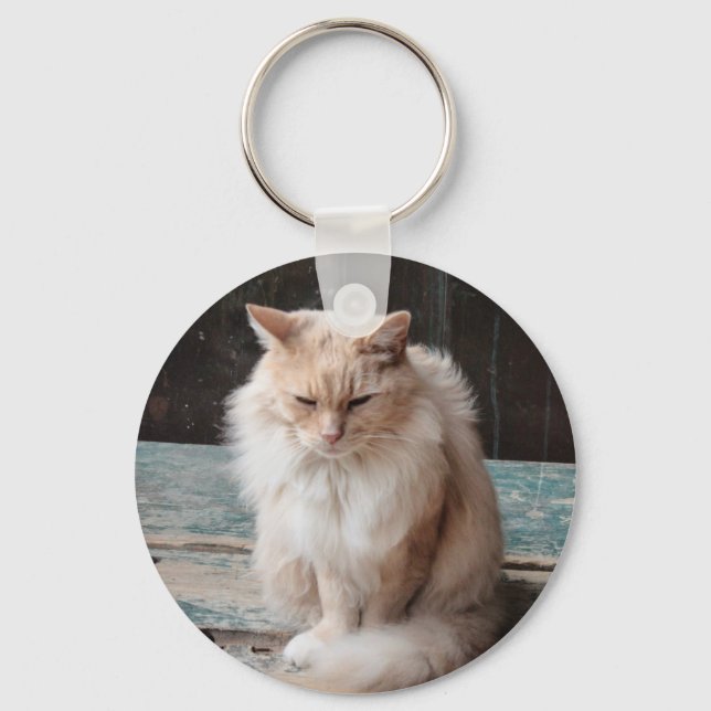  Cat Keychain  (Front)