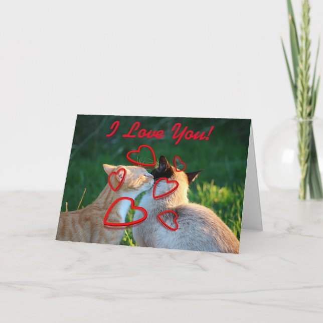 Cat kiss love card (Front)