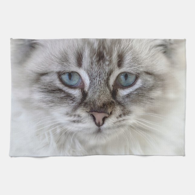 Cat Kitchen Towels (Horizontal)