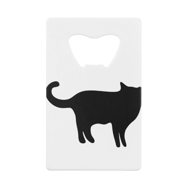 Cat Kitten Animal Pet (Front)