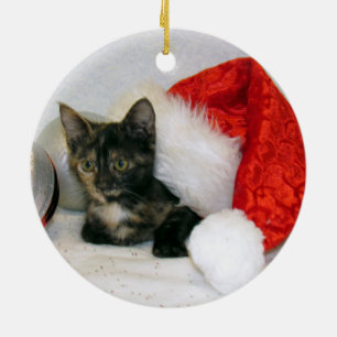 Cat, Kitten, Christmas, Rescue Ceramic Tree Decoration