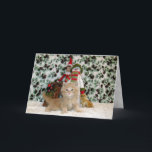 Cat, Kitten, Christmas, Rescue, Photo Holiday Card<br><div class="desc">Buffington is a gorgeous little rescue kitty who is all about posing for the camera!</div>
