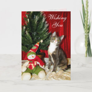 Cat, Kitten, Christmas, Rescue, Photo Holiday Card