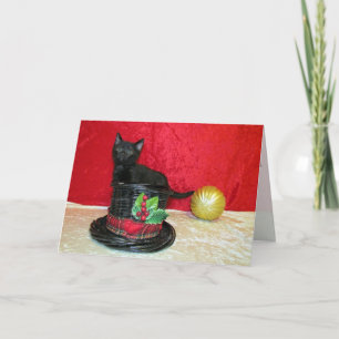 Cat, Kitten, Christmas, Rescue, Photo Holiday Card