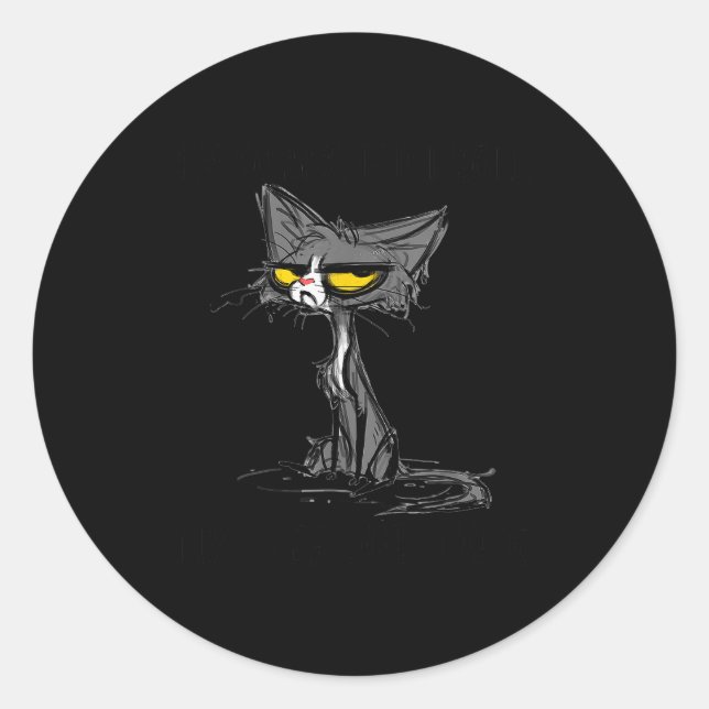 Cat Kitten Did I Roll My Eyes Out Loud Funny Sarca Classic Round Sticker (Front)