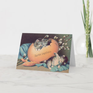 Cat Kitten Easter Coloured Egg Cotton Holiday Card