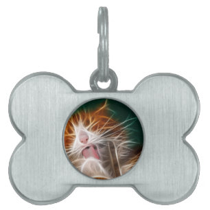 cat kitten kitties cute pet purr meow ID tag