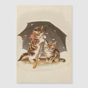 Cat Kitten kitty antique vintage pretty cute