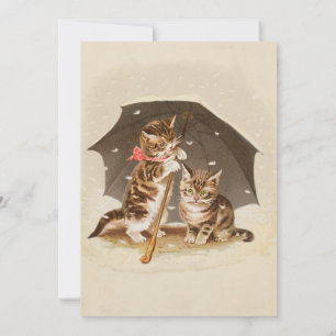 Cat Kitten kitty antique vintage pretty cute Invitation