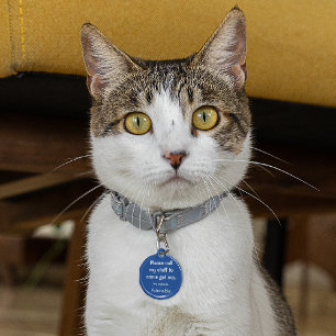 Cat, Kitten Lost tag, Small .88-in Pet ID Tag