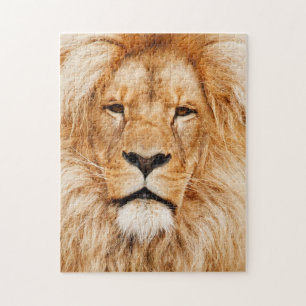 Cat Kitten Photography Animal Pic Cat Photographer Jigsaw Puzzle