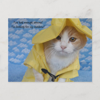 Cat/Kitty in Yellow Slicker Raincoat Postcard